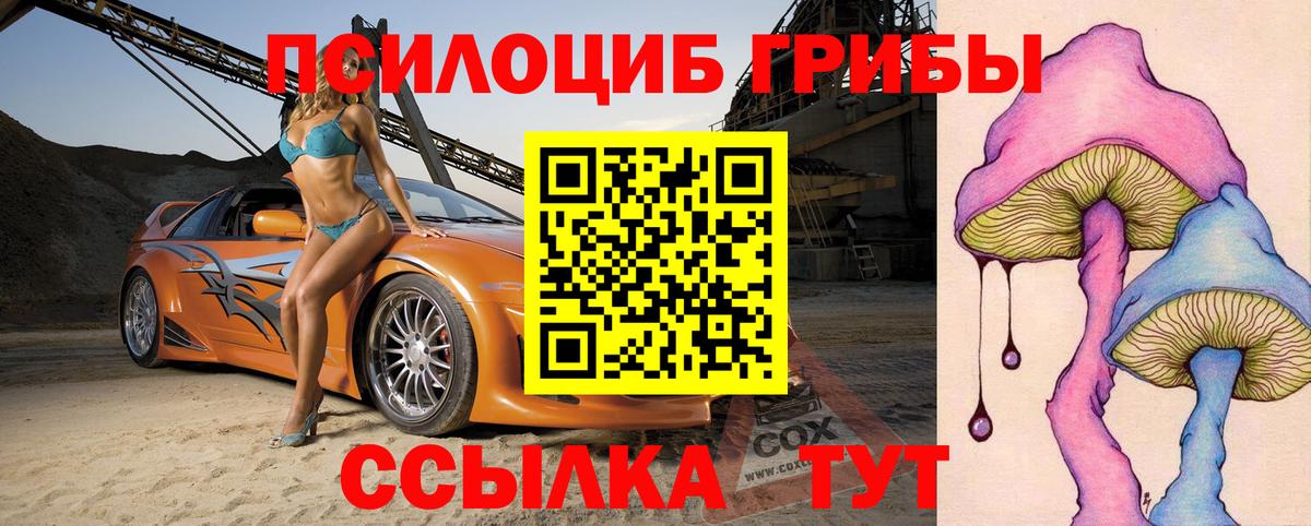 Псилоцибиновые грибы Cubensis  Псилоцибиновые грибы Magic Shrooms  Вход с VPN  Кудымкар 